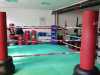 IMG-20200729-WA0008