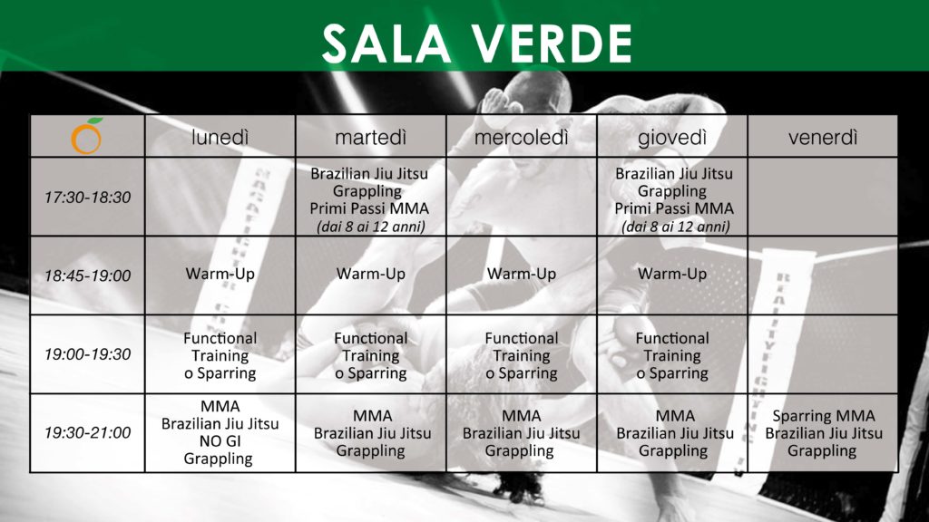 Sala Verde Spazioforma mma Biella